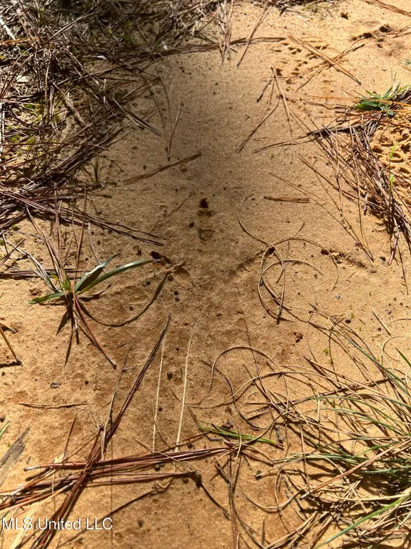 613 N Of Co, Shubuta, MS 39360