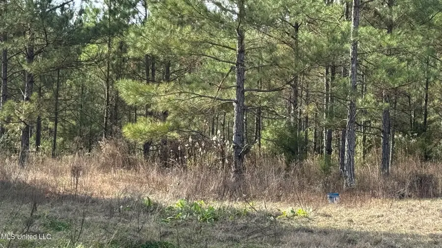 01 Norris-homewood Road, Forest, MS 39074 - Image #2