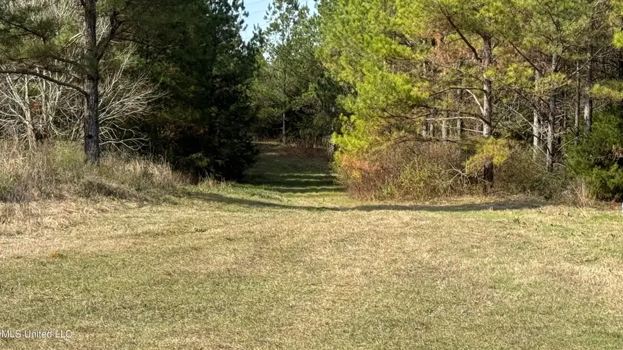 01 Norris-homewood Road, Forest, MS 39074 - Image #3