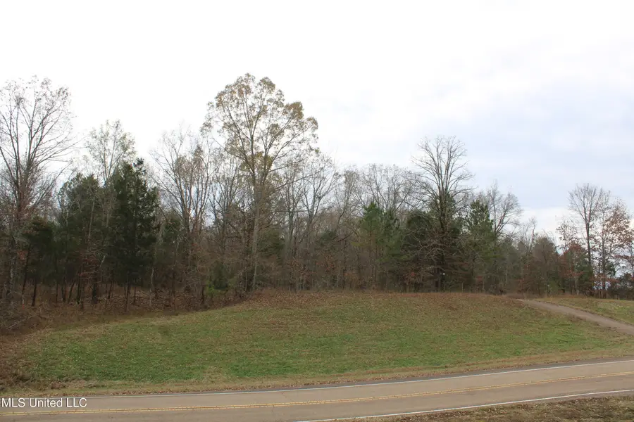 200 Davis Road, Byhalia, MS 38611 - Image #3