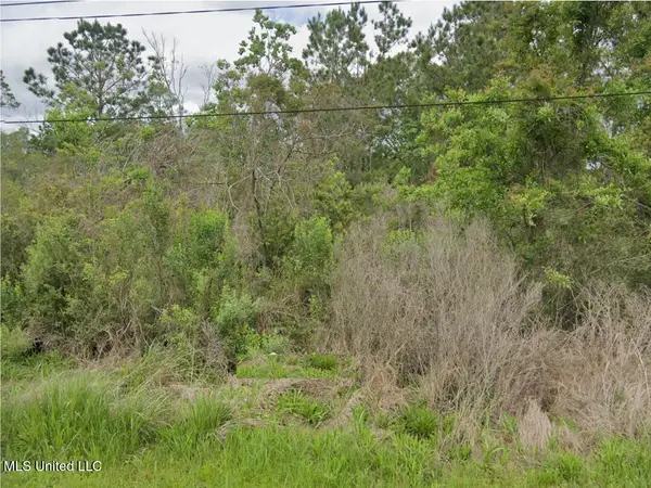 Bayou View Drive, Bay Saint Louis, MS 39520