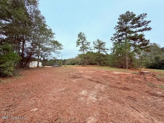 Cemetery Road, Tylertown, MS 39667 - Image #2