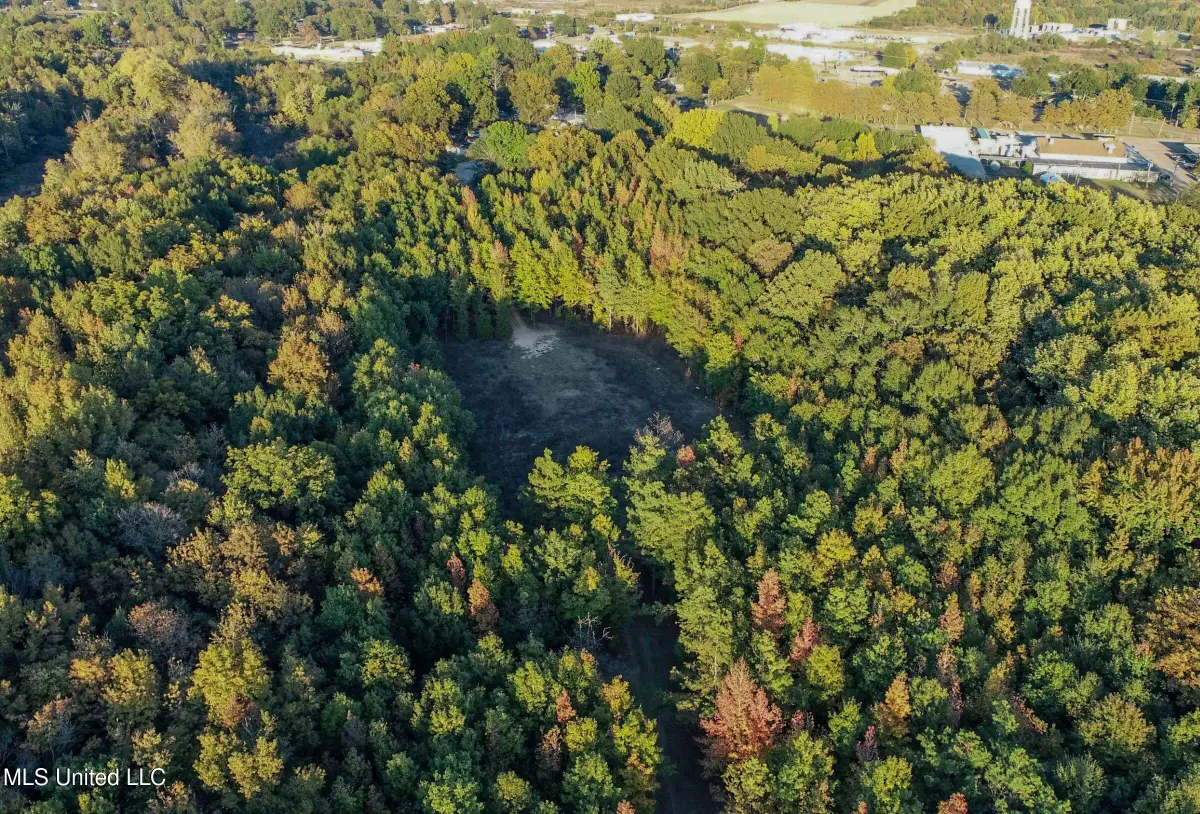 Howard Street, Marks, MS 38646 - Image #1