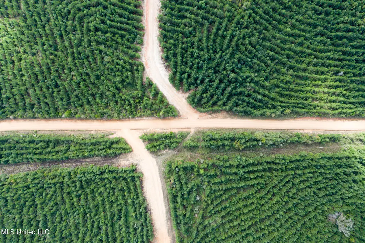 010 Attala Road, McCool, MS 39108 - Image #1