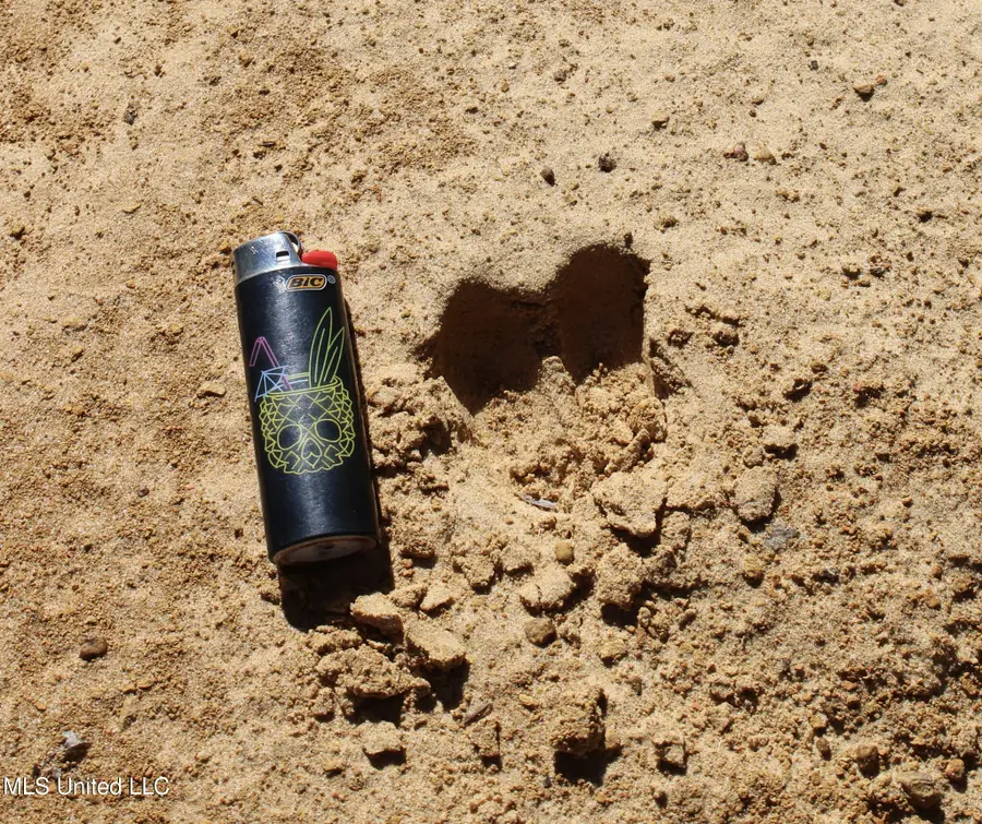 2108 Joel Lang Road, McComb, MS 39648 - Image #3