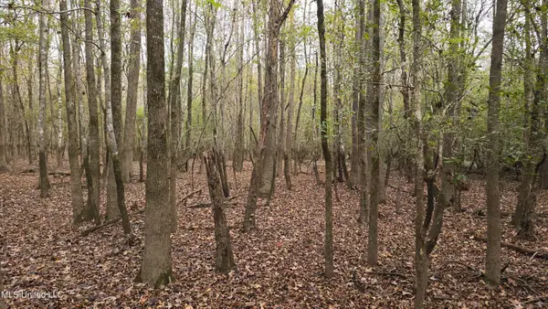 000 Wheatfield Road, Poplarville, MS 39470