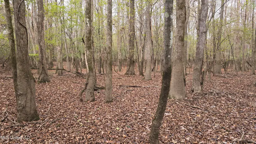 000 Wheatfield Road, Poplarville, MS 39470 - Image #2