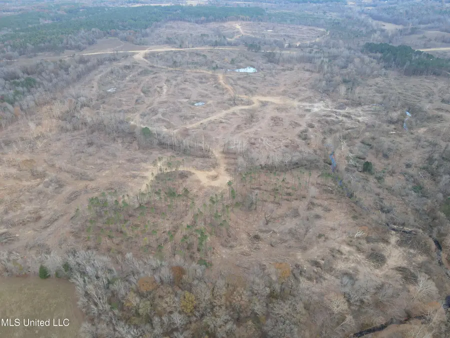 Lane Road, Cascilla, MS 38920 - Image #2