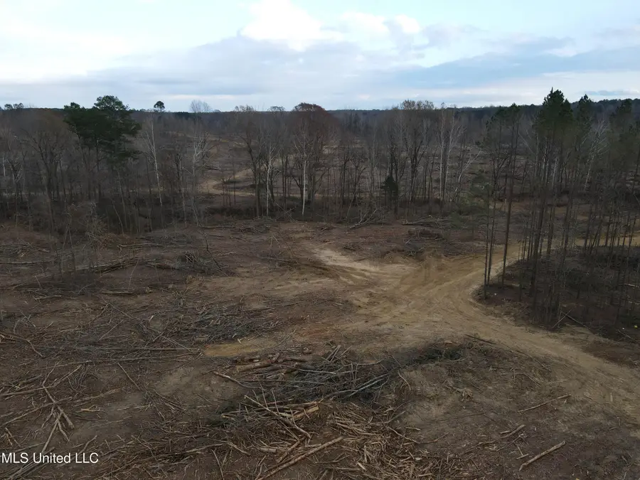 Lane Road, Cascilla, MS 38920 - Image #3