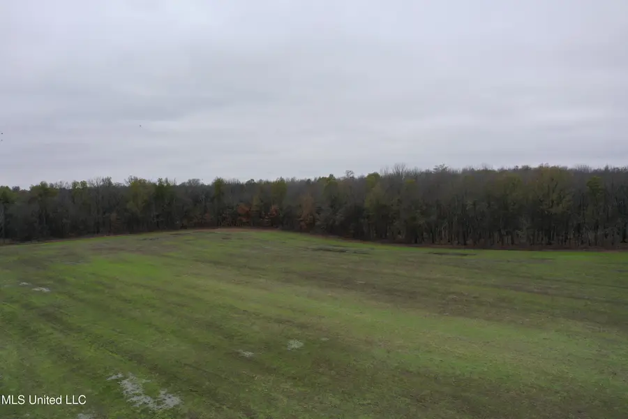 2000 Walnut Lake Road, Dundee, MS 38626 - Image #2
