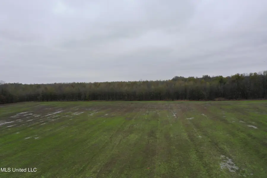 2000 Walnut Lake Road, Dundee, MS 38626 - Image #3