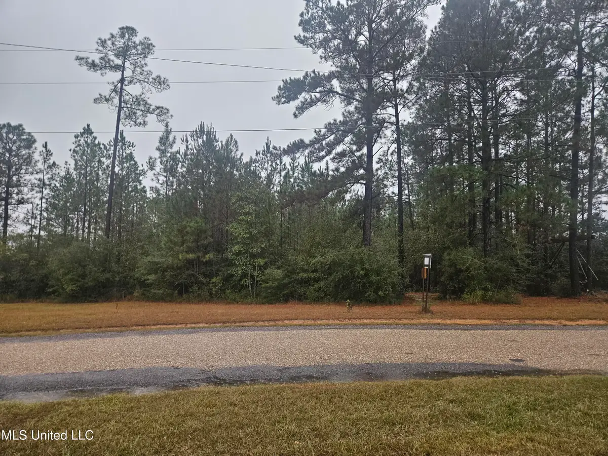 E Lake Cypress Drive, Perkinston, MS 39573 - Image #1