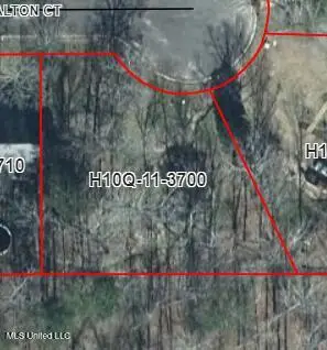 1069 Halton Court, Brandon, MS 39047 - Image #2