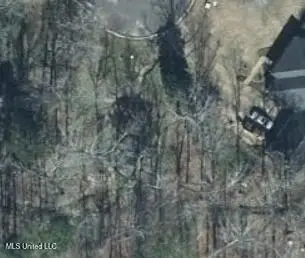 1069 Halton Court, Brandon, MS 39047 - Image #3