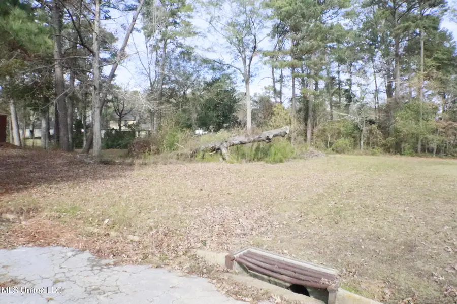 1074 Halton Court, Brandon, MS 39047 - Image #2