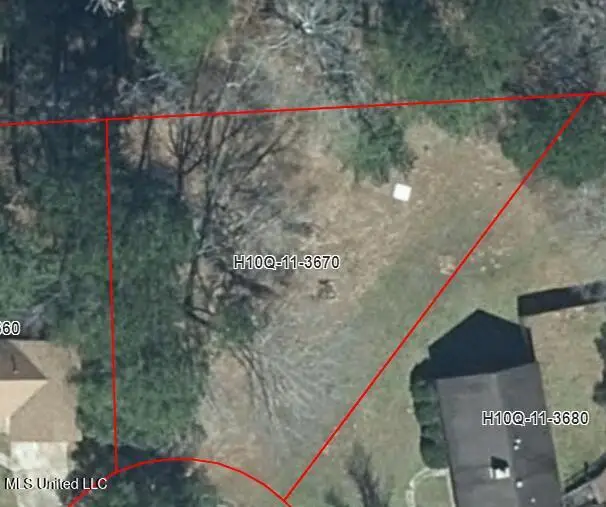 1074 Halton Court, Brandon, MS 39047 - Image #3