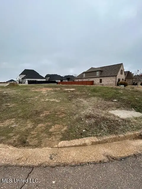 N Bolivar Trail, Olive Branch, MS 38654 - Image #2