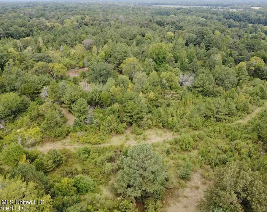 1 Robinson Road, Canton, MS 39046 - Image #3