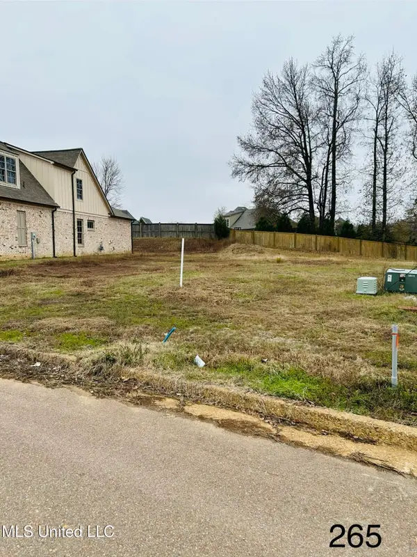 4191 S Bolivar Trail, Olive Branch, MS 38654