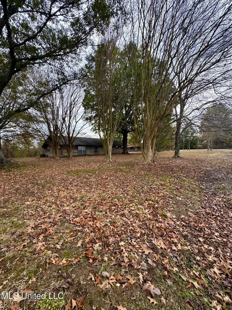 768 Louis Bennett Road, Anguilla, MS 38721 - Image #3