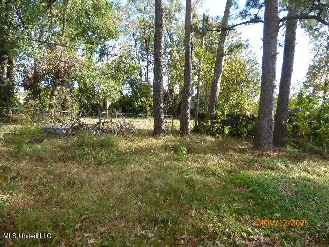 1501 Eastwood Road, Natchez, MS 39120 - Image #3