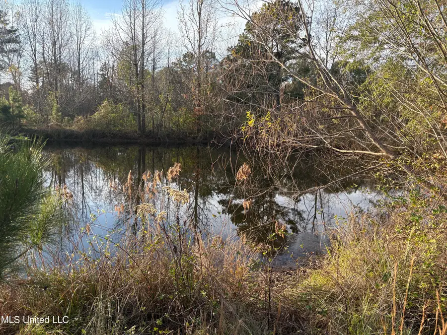 824 Ratliff Ferry Road, Canton, MS 39046 - Image #2