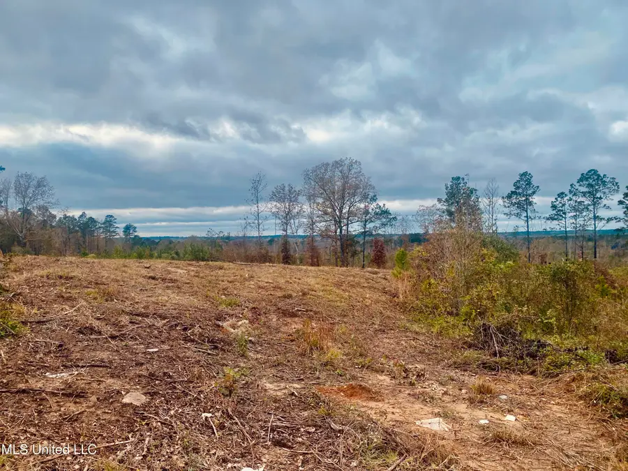 Saint Anne Road, Carthage, MS 39051 - Image #2