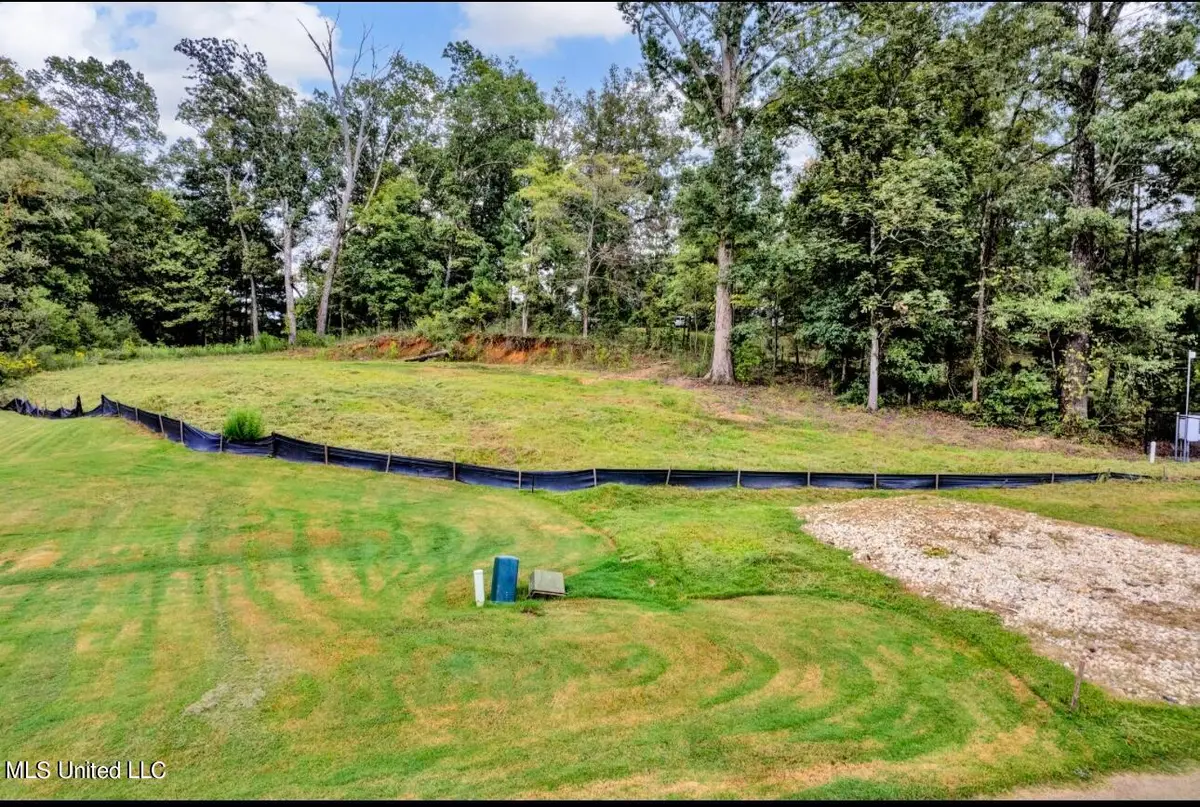 2768 Black Rock Road, Nesbit, MS 38651 - Image #1