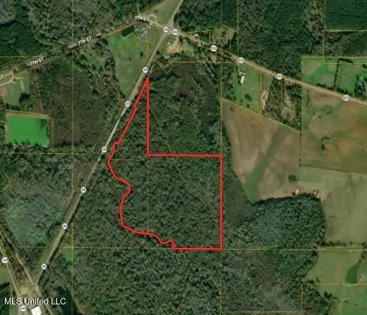 Highway 35 Mississippi 35, Mount Olive, MS 39119 - Image #1