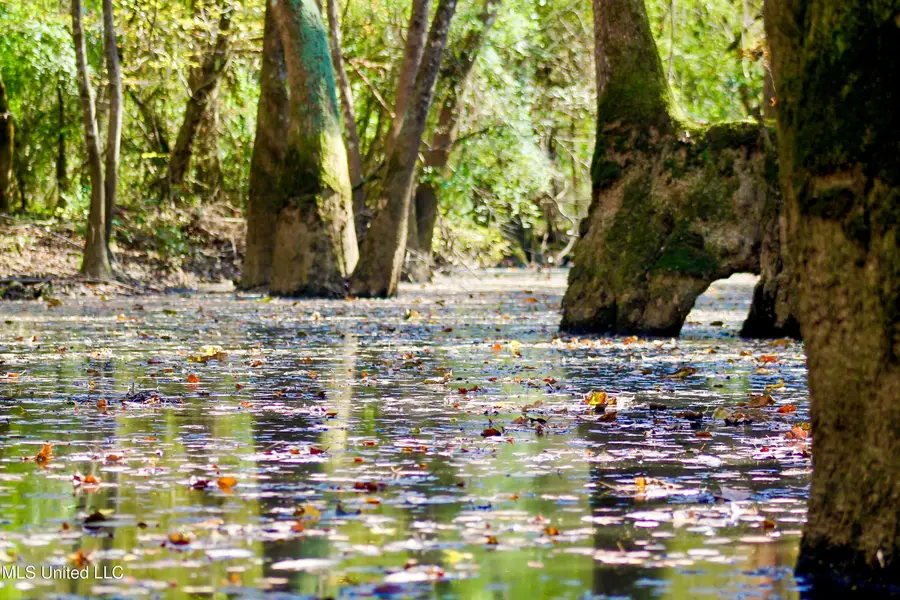 Highway 35 Mississippi 35, Mount Olive, MS 39119 - Image #2