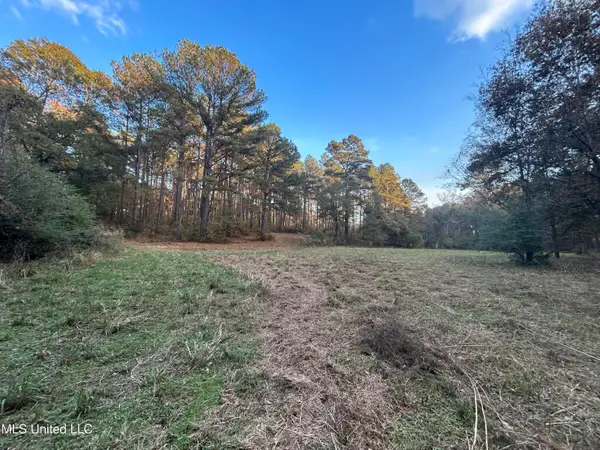 4024 Old Mill Road, Osyka, MS 39657