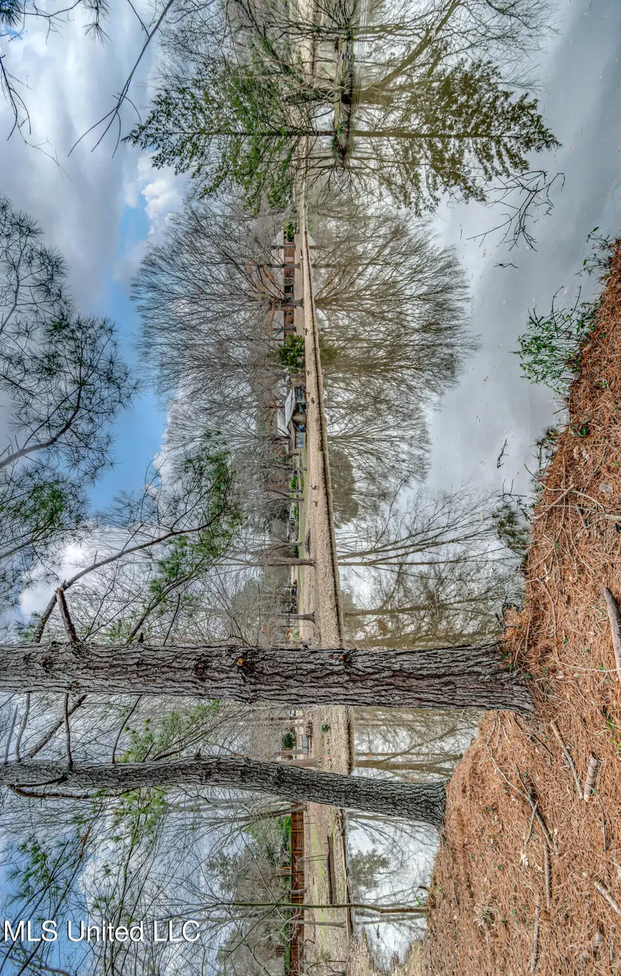 116 Anna Cove Cove, Madison, MS 39110 - Image #2