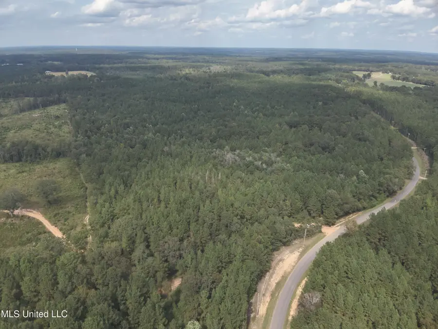 1567 County Road 8, Laurel, MS 39443 - Image #3