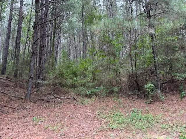 Tbd Cemetery Road, Tylertown, MS 39667 - Image #3