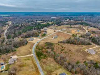 43 Cherry Bark Lane, Courtland, MS 38620 - Image #3