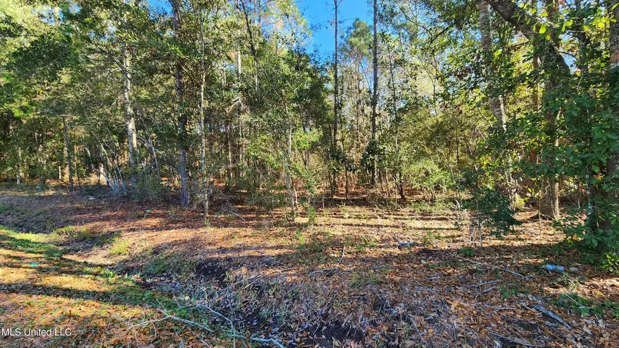 0 Sunflower Street, Bay Saint Louis, MS 39520 - Image #3