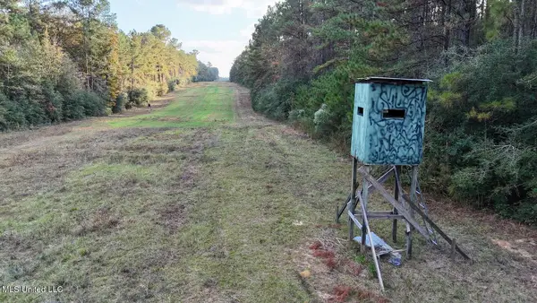 Tbd Aunt Margies Road, Greensburg, LA 70441