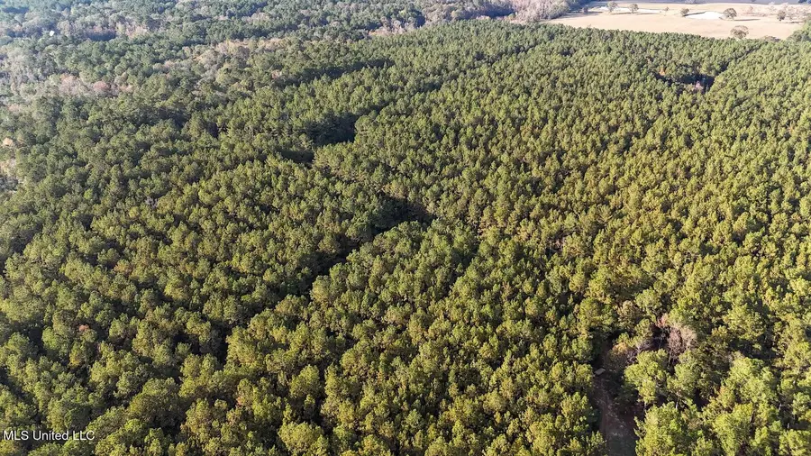 Tbd Aunt Margies Road, Greensburg, LA 70441 - Image #2