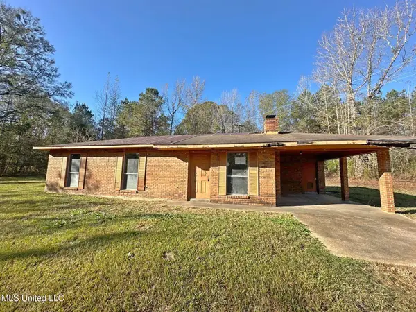 10009 Red Lick Road, Lorman, MS 39096