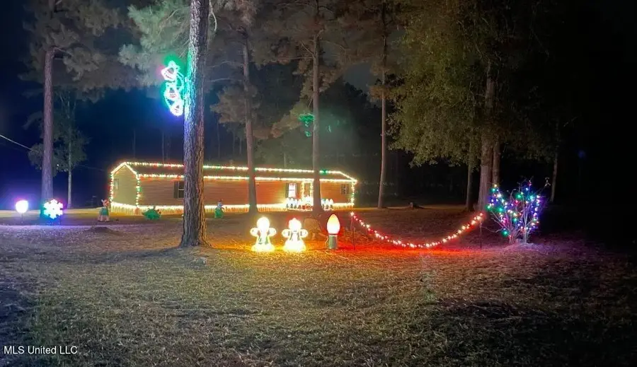 401 SW Montgomery Road, Summit, MS 39666 - Image #3