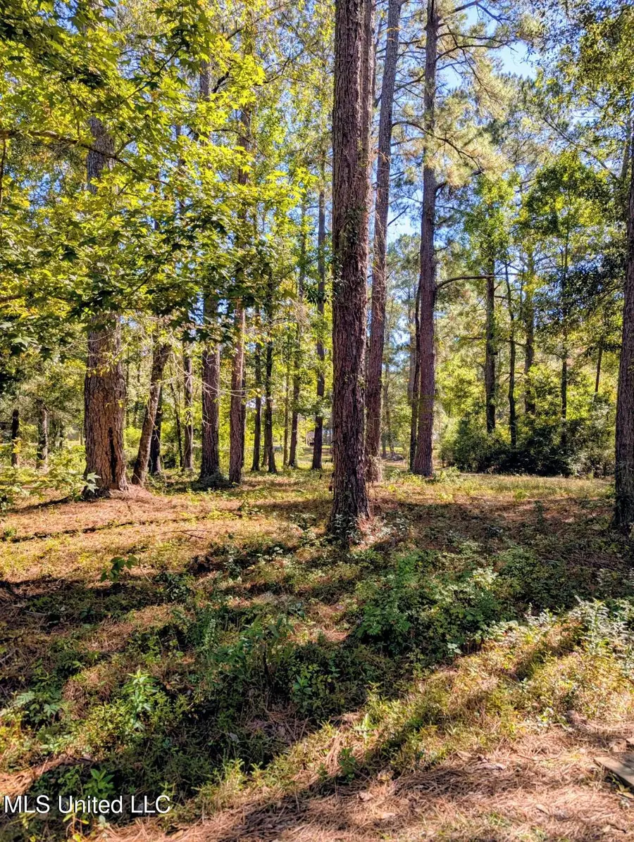 Norrell Drive, Petal, MS 39465 - #2