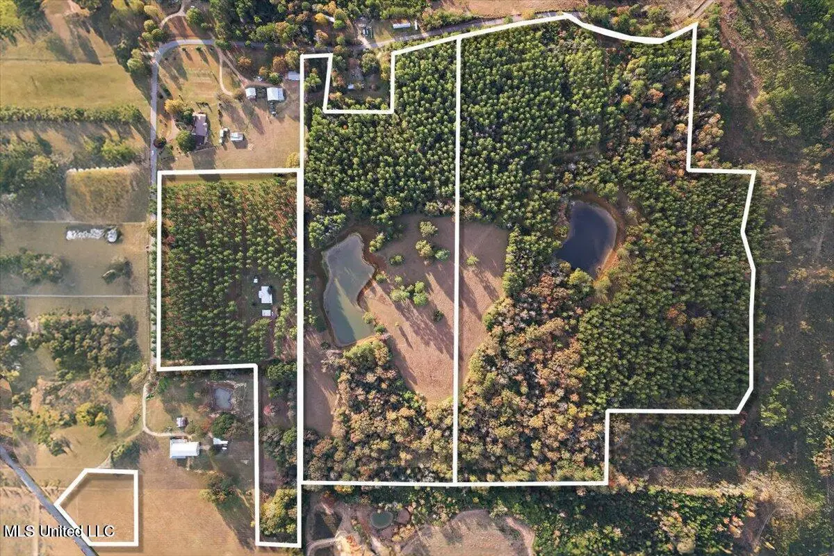 00 Anse Reed Road, Magee, MS 39111 - Image #1