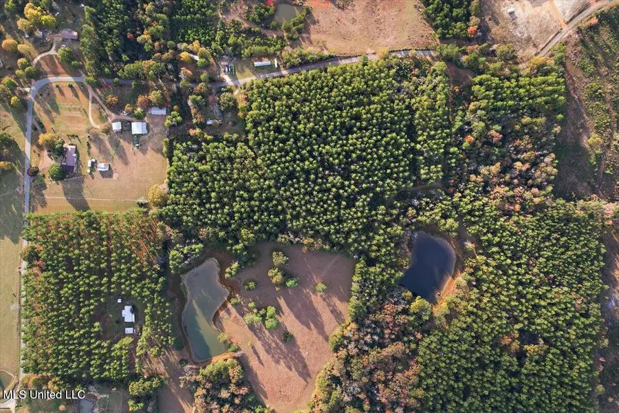 00 Anse Reed Road, Magee, MS 39111 - Image #3