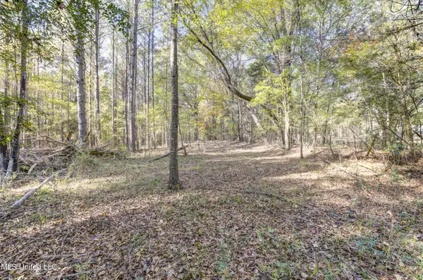 Brenmar Street, Brandon, MS 39042