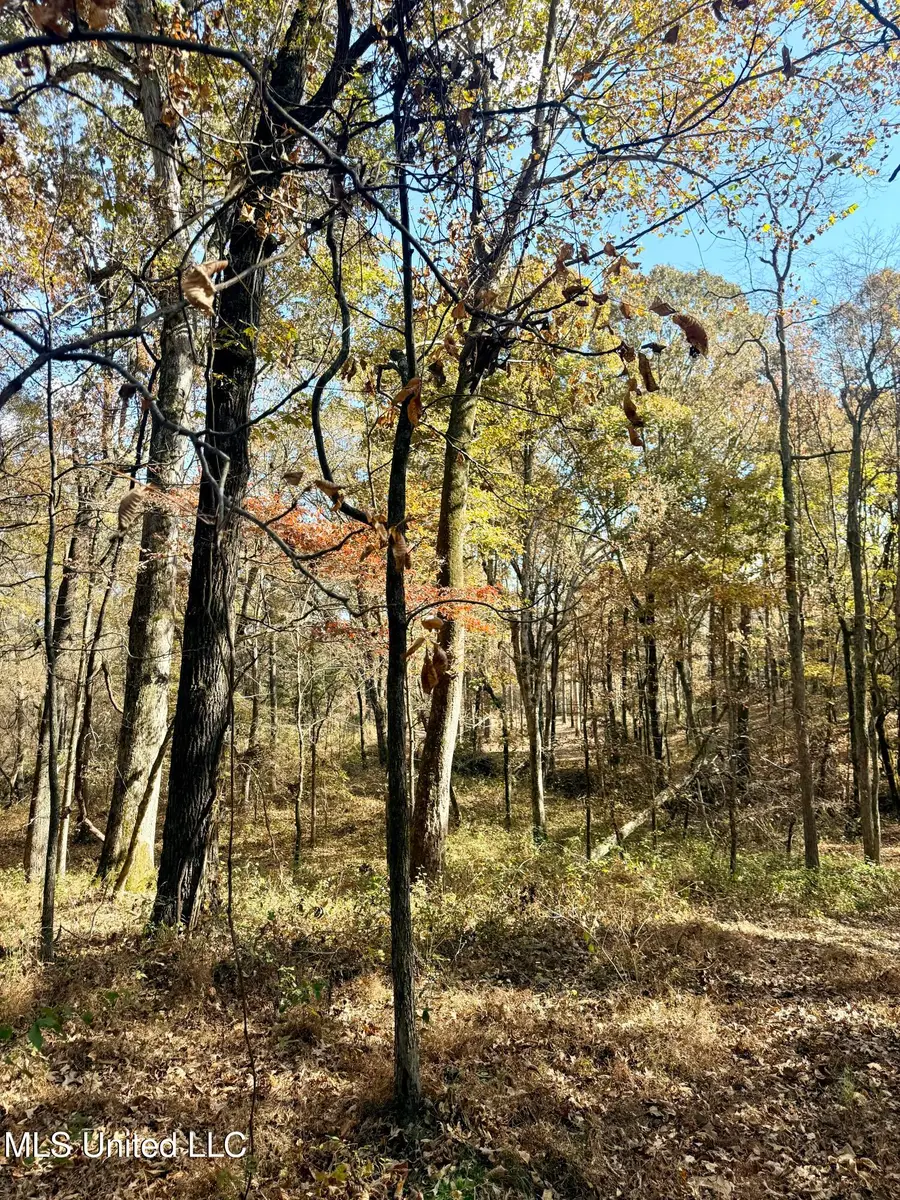 0 Laws Hill Road, Holly Springs, MS 38635 - Image #3