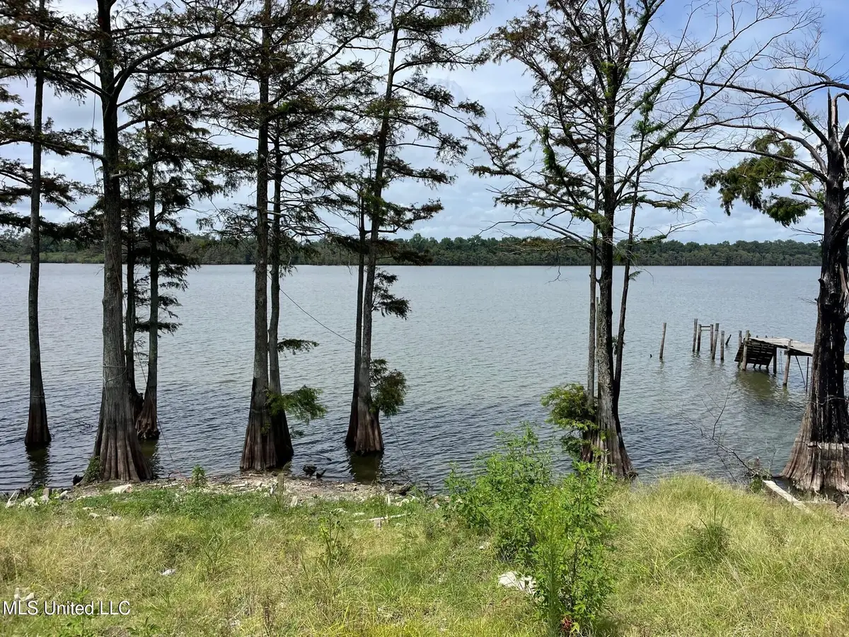 980 Moon Lake Road, Dundee, MS 38626 - Image #1