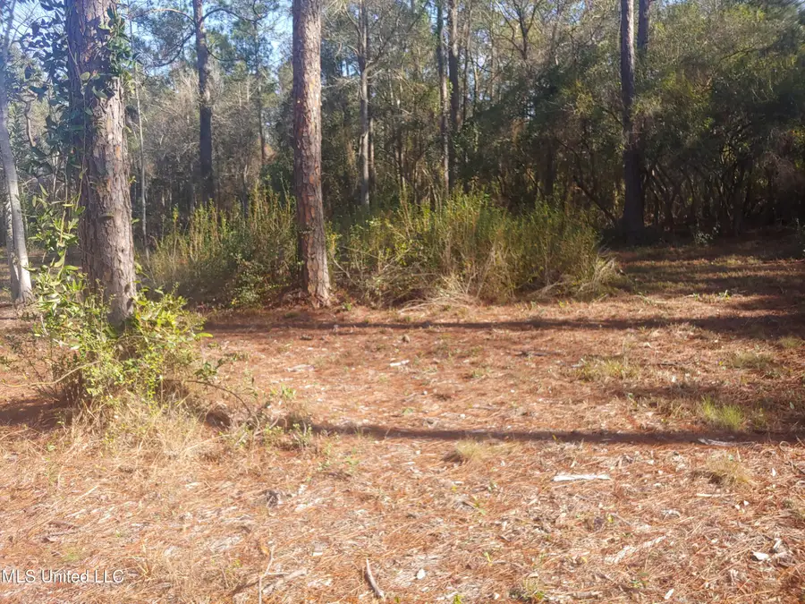 Nhn E Crazy Horse Drive, Kiln, MS 39556 - Image #2