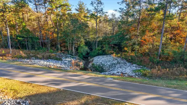 0 Old Highway 26, Perkinston, MS 39573