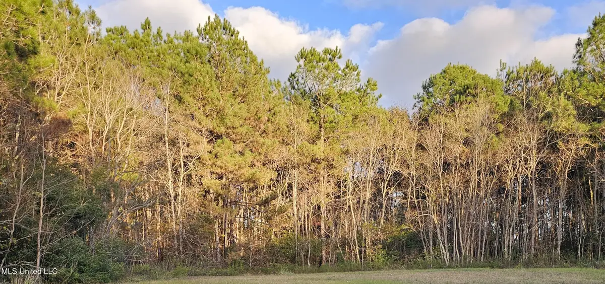 0 Crescent Shore Drive, Biloxi, MS 39532 - Image #1