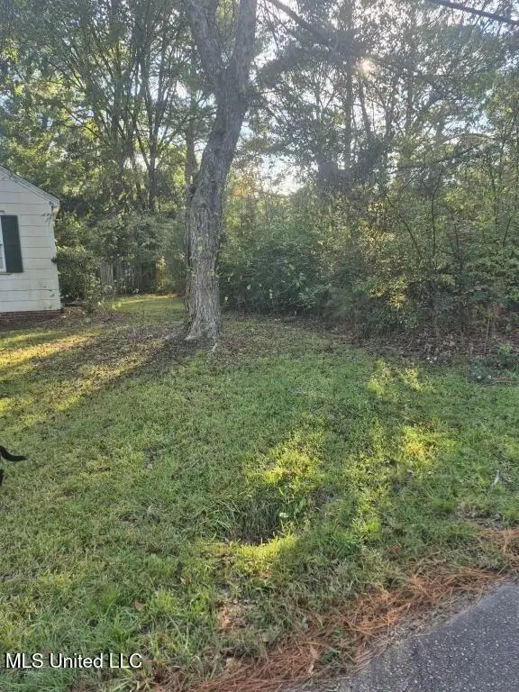 215 S Monroe Street, Canton, MS 39046 - Image #2